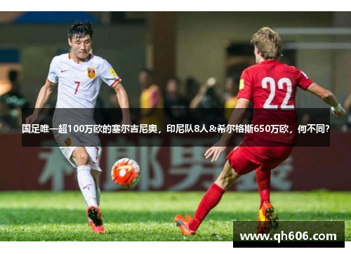 国足唯一超100万欧的塞尔吉尼奥，印尼队8人&希尔格斯650万欧，何不同？